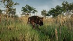 Animalia Skins Pack DLC * STEAM RU * АВТО *0%