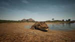 Animalia Survival EggHunt DLC * STEAM RU * АВТО *0%