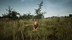 Animalia Survival EggHunt DLC * STEAM RU * АВТО *0%