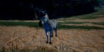 Animalia Haloween Pack DLC * STEAM RU * АВТО *0%