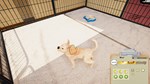 Animal Shelter - Puppies & Kittens DLC * STEAM RU *