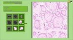 Animal Shelter - Vet Clinic DLC * STEAM RU * АВТО *0%