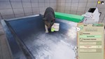 Animal Shelter - Vet Clinic DLC * STEAM RU * АВТО *0%