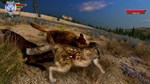 WolfQuest: Anniversary Edition * STEAM RU * АВТО *0%