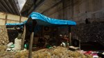 Hobo: Tough Life * STEAM RU * АВТО *0%