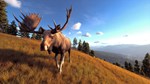 Way of the Hunter * STEAM RU * АВТО *0%