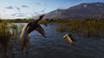 Way of the Hunter * STEAM RU * АВТО *0%