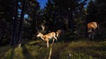 Way of the Hunter * STEAM RU * АВТО *0%