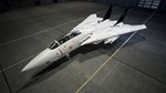 ACE COMBAT™ 7: SKIES UNKNOWN - TOP GUN: Maverick Aircra