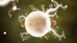 Botanicula * STEAM РОССИЯ * АВТОДОСТАВКА *0% КАРТЫ