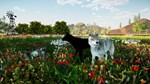 Animallica * STEAM РОССИЯ * АВТОДОСТАВКА *0% КАРТЫ