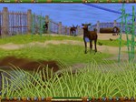 Zoo Empire * STEAM РОССИЯ * АВТОДОСТАВКА *0% КАРТЫ