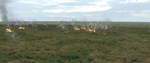 Graviteam Tactics: Don Bend DLC * STEAM RU * АВТО *0%