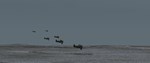 Graviteam Tactics: Pivot Point DLC * STEAM RU *