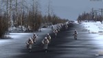 Graviteam Tactics: Raid DLC * STEAM RU * АВТО *0%