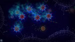 Campaign  "New life" DLC * STEAM RU * АВТО *0%