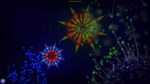 Campaign  "New life" DLC * STEAM RU * АВТО *0%