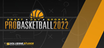 Draft Day Sports: Pro Basketball 2022 * STEAM RU *