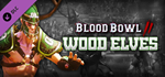 Blood Bowl 2 - Wood Elves (DLC Only) * STEAM RU *