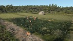 Ancient Cities * STEAM RU * АВТО *0%