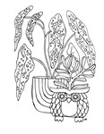 Plant Therapy Coloring Book DLC * STEAM RU * АВТО *0%