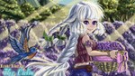 RPG Maker VX Ace - Hiroki Kikuta´s The Calm Music Pack