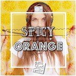 RPG Maker VX Ace - Spicy Orange DLC * STEAM RU *