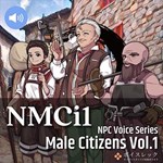 RPG Maker VX Ace - NPC Male Citizens Vol.1 DLC