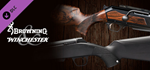 Browning & Winchester Pack DLC * STEAM RU * АВТО *0%