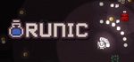 Runic Survivor * STEAM RU * АВТО *0%