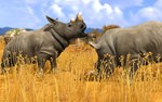 Wildlife Park 3 * STEAM RU * АВТО *0%