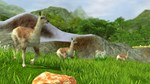 Wildlife Park 3 - Amazonas DLC * STEAM RU * АВТО *0%