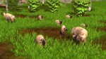Wildlife Park 3 - Asia DLC * STEAM RU * АВТО *0%