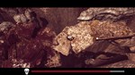 SOWON * STEAM РОССИЯ * АВТОДОСТАВКА *0% КАРТЫ