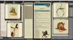 Fantasy Grounds - Pathfinder RPG - Campaign Setting: My