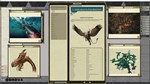 Fantasy Grounds - Pathfinder RPG - Campaign Setting: My
