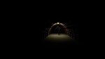 Adrift in the Backrooms * STEAM RU * АВТО *0%