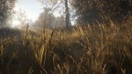 theHunter: Call of the Wild™ * STEAM RU * АВТО *0%