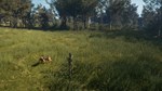 theHunter: Call of the Wild™ - Bloodhound DLC