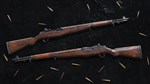 Insurgency: Sandstorm - Ultimate Edition DLC