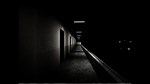 Case of the mysterious death of Keiko Haraeda