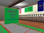 Brazil Fencing Club * STEAM RU * АВТО *0%