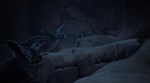 Beasts of Bermuda * STEAM RU * АВТО *0%