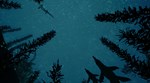 Beasts of Bermuda * STEAM RU * АВТО *0%