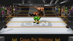 Casual Pro Wrestling * STEAM RU * АВТО *0%