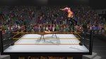 Casual Pro Wrestling * STEAM RU * АВТО *0%