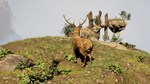 Deer God * STEAM РОССИЯ * АВТОДОСТАВКА *0% КАРТЫ