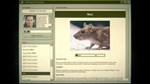Home Safety Hotline * STEAM RU * АВТО *0%