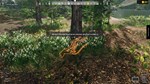Aquascapers * STEAM РОССИЯ * АВТОДОСТАВКА *0% КАРТЫ