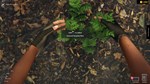 Aquascapers * STEAM РОССИЯ * АВТОДОСТАВКА *0% КАРТЫ
